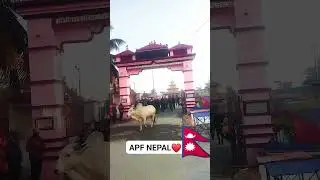 APF nepal #kinggyanendra #lifeisbutadream #automobile #whowillbemylifepartn
