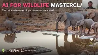 Ecology Masterclass by Matt - The links between ecology, conservation and AI