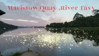 Maristow Quay , river Tavy midsummer flight to the Tamar and back