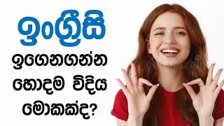 How to Study English Effectively