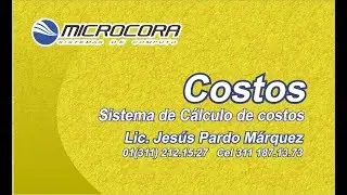 Sistema de calculo de Costos - Sistema desarrollado a la medida - Microcora
