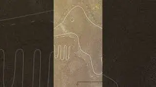 168 Newly Identified Geoglyphs Added to Peru&rsquo;s Nazca Lines #history #historymystery #PerusNazcaLines