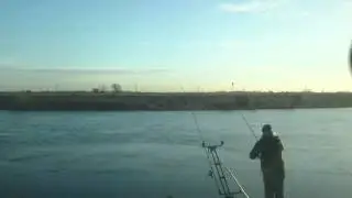 Tidal Trent action