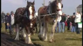 Ploughing at Plumbridge