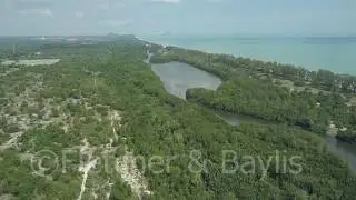 Aerial of Setiu Wetlands, Malaysia. 41966.uhd