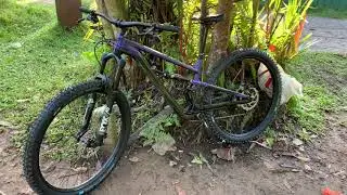 Polygon 2021 T8 29” L Size