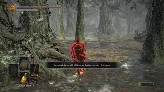 DARK SOULS III - host failure
