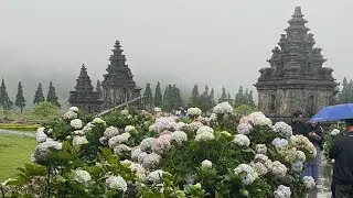 Dieng siang ini