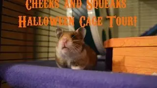Halloween Cage Tour 2016--Cheeks and Squeaks
