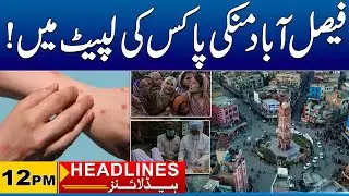 Monkeypox Cases Reported in Faisalabad | 12PM News Headlines | 31 Dec 2025 | City41