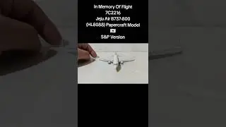 Jeju Air B737-800 (HL8088) Papercraft Model 🇰🇷 S&P Version