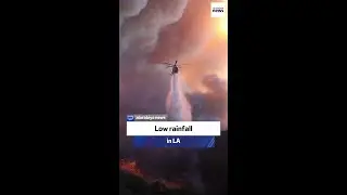 Low rainfall in LA