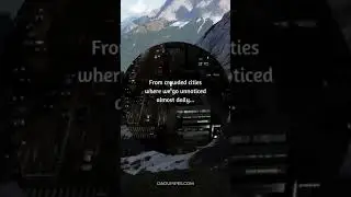 We Are Everywhere
