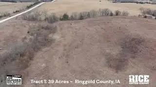 PUBLIC LAND AUCTION: 39 Acres | CRP Income + Timber | Paved Road Access | Ringgold County, IA