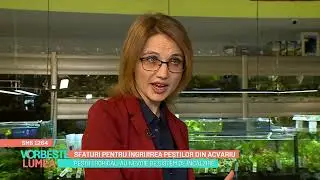 Sfaturi pentru îngrijirea peștilor din acvariu