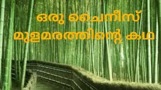 The Farmer and His Chinese bamboo Tree| Never Give up | Malayalam