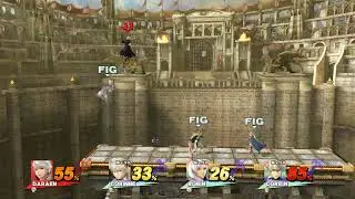 Male & Female Daraen VS Corrin Level 50 Amiibos (No Customizations)