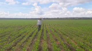 HT Precision Virtual Field Day - Agrochapada Farm in Brazil