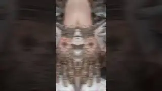 More than mehndi, it&rsquo;s a feeling #hennadesign #mehandi #meme 