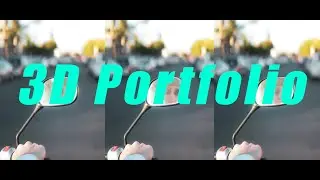 3D Stereoscopic Portfolio (NishikaN8000, Nimslo 3D, Reto 3D, Hyper 3D)