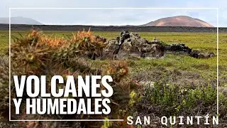 PARAISO entre VOLCANES | Humedales de San Quint&iacute;n