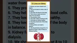 10 Lines on Kidney #kidneyfacts #kidney #10linesessay #essay #sciece
