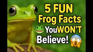 5 FUN Frog Facts You WON&rsquo;T Believe! 🐸😱