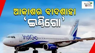ଆକାଶର ବାଦଶାହା ‘ଇଣ୍ଡିଗୋ’ | Indigo Airlines | Rising Odisha