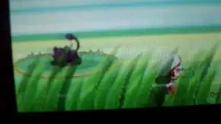 Hericendre / Cyndaquil shiny