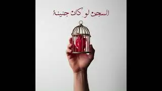 Dallo - El Segn Law Kan Genena l ضالو- السجن لو كان جنينة