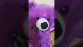 friendship song for my teddy #friendship #freinds #teddy