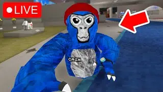 Gorilla Tag Live With You! | Fan Lobbies