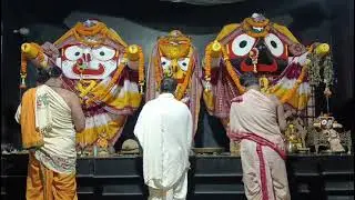 Shri Jagannath Sandhya Arati Darshan Puri | Jagannath Arati In Puri | Jagannath Aarti | 08-Jan-2026
