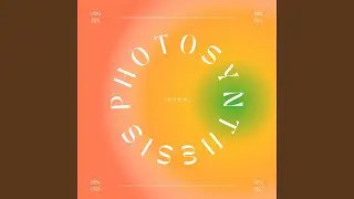 Photosynthesis (光合作用)