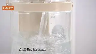 HALEY Electric Kettle | Safe, Fast & Reliable Hot Water Solution