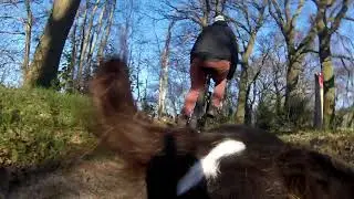 The Ultimate Dog Cycling Road Trip: Exploring Scenic Routes with Maniac