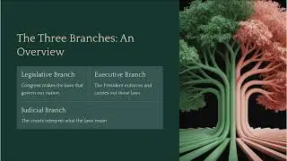 U.S. Government Explained: The 3 Branches, Checks & Balances, and Federalism |