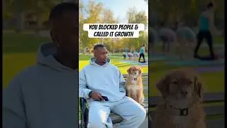 Your Healing Era Is Just Avoidance #relatable #funny #comedy #dogtalk  #talkingdog