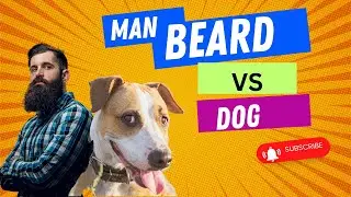 Man Beard Versus Dog