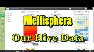 ❷ Mellisphera?  What's that have to do with bees?