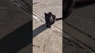 Boo!