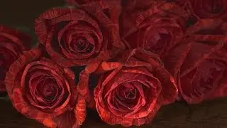 Being a Woman in Islaam - Taalib Abdullaah