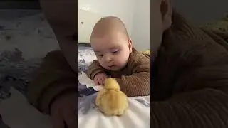 Newborn baby bonds with newly hatched chick