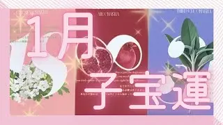 【子宝】コウノトリさんがすぐ近くまで⁉︎🕊️1ヶ月で妊活卒業もあるかも♡