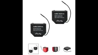 Shelly LoRa addon