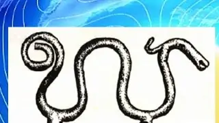Heathen Pagan &Aacute;satr&uacute; &Oacute;&eth;sm&aacute;l study (see text below) - Abuse of our wisdom