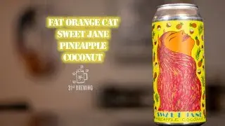 Fat Orange Cat Sweet Jane Pineapple Coconut Craft Beer Review