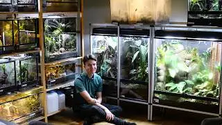 Moving my Frog Room