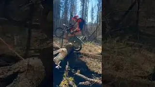 Log hops in the woods. Canadian Enduro. 🇨🇦 #ktm #canada #enduro #300