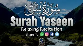 Surah Yasin (Yaseen) سورة يس | Relaxing heart touching voice | Alaa Aqel